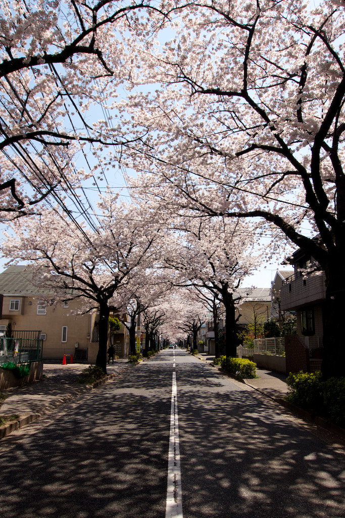 f:id:penpen-0704:20140508211224j:plain