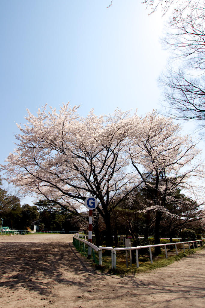 f:id:penpen-0704:20140508211234j:plain