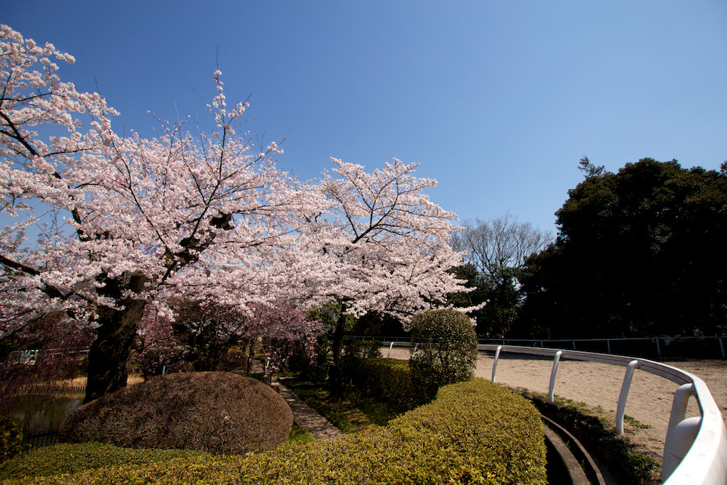 f:id:penpen-0704:20140508211320j:plain