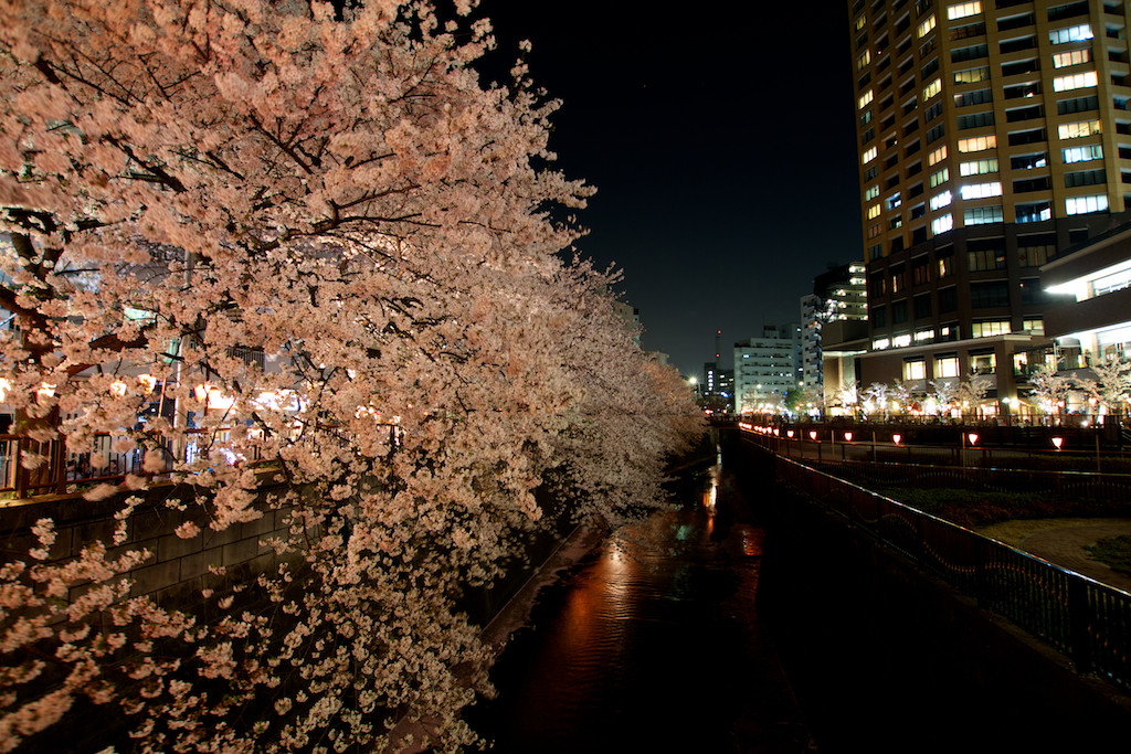 f:id:penpen-0704:20140508211513j:plain