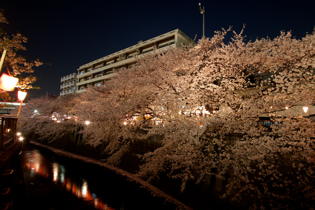 f:id:penpen-0704:20140508211531j:plain