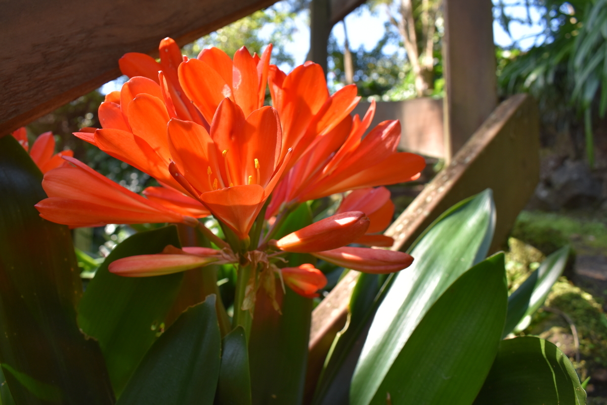 f:id:penpenI:20190922150057j:plain f:id:penpenI:20190922150057j:plain