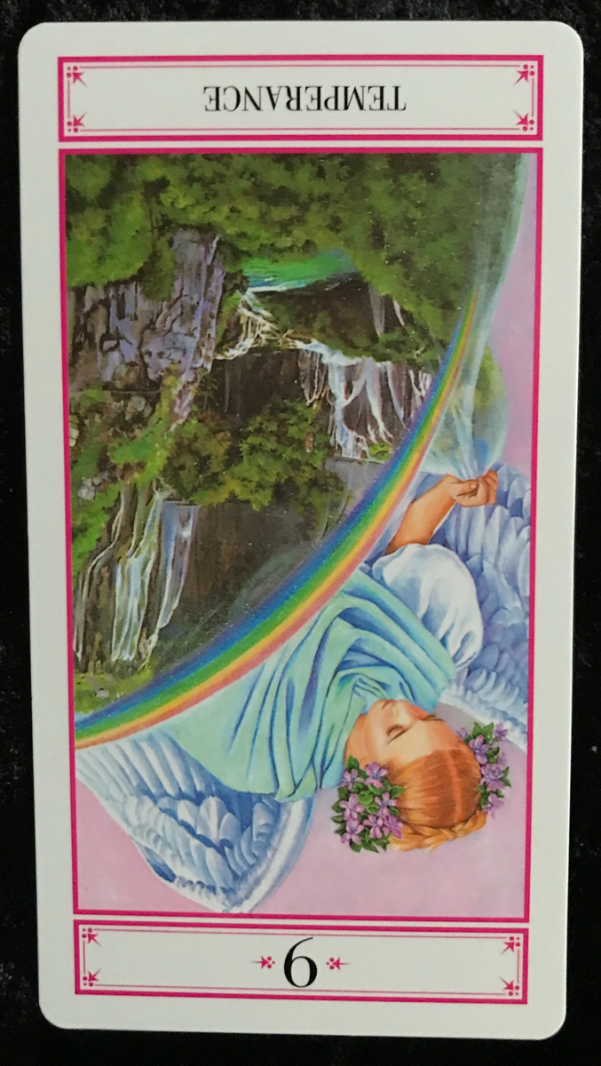 f:id:penpen_usamaru:20210214170201j:plain