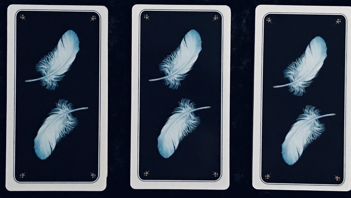 f:id:penpen_usamaru:20210627170101j:plain