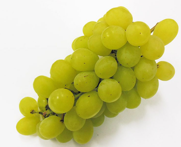 f:id:penpen_usamaru:20211025215115p:plain