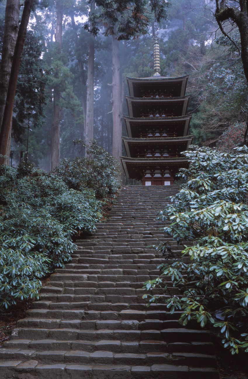 f:id:penpengrass:20200118212238j:image f:id:penpengrass:20200118212238j:image