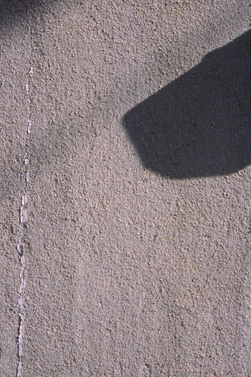 f:id:penpengrass:20200301235840j:image f:id:penpengrass:20200301235840j:image
