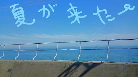 f:id:penpenyama:20170710021444j:plain