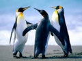 f:id:pensuke-LV:20120918235225j:image:medium