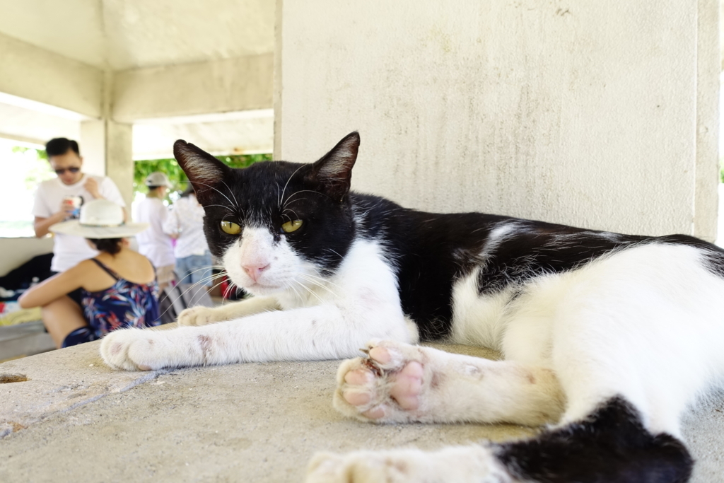 f:id:pentahiko:20170915234813j:plain f:id:pentahiko:20170915234813j:plain