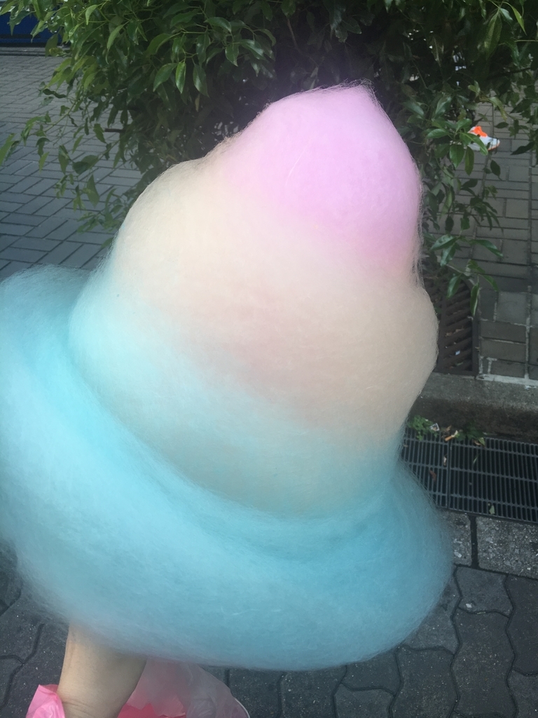 f:id:pentas7tan:20180907235149j:plain f:id:pentas7tan:20180907235149j:plain