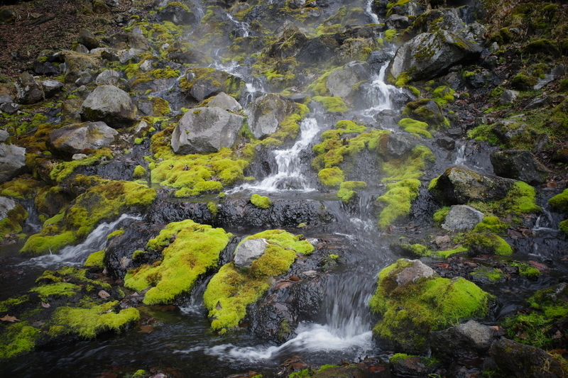 f:id:pentax-ricoh:20210410161437j:plain