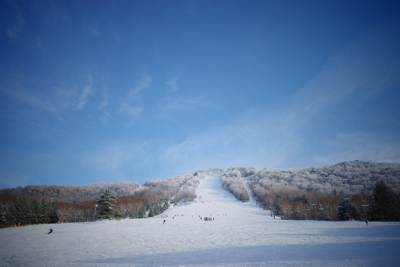 f:id:pentax-ricoh:20210410161714j:plain