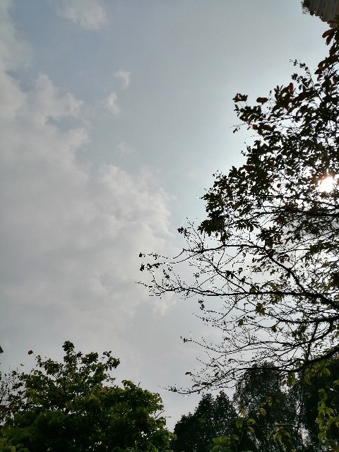 f:id:penyu-penyu:20190926185440j:image f:id:penyu-penyu:20190926185440j:image