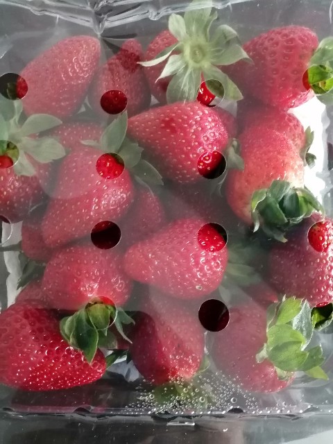 f:id:penyu-penyu:20191003230323j:image f:id:penyu-penyu:20191003230323j:image