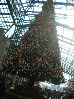 f:id:pepe-carol:20081216195731j:image f:id:pepe-carol:20081216195731j:image