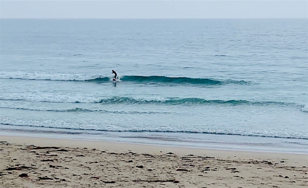 f:id:pepelon0428:20190428005807j:image