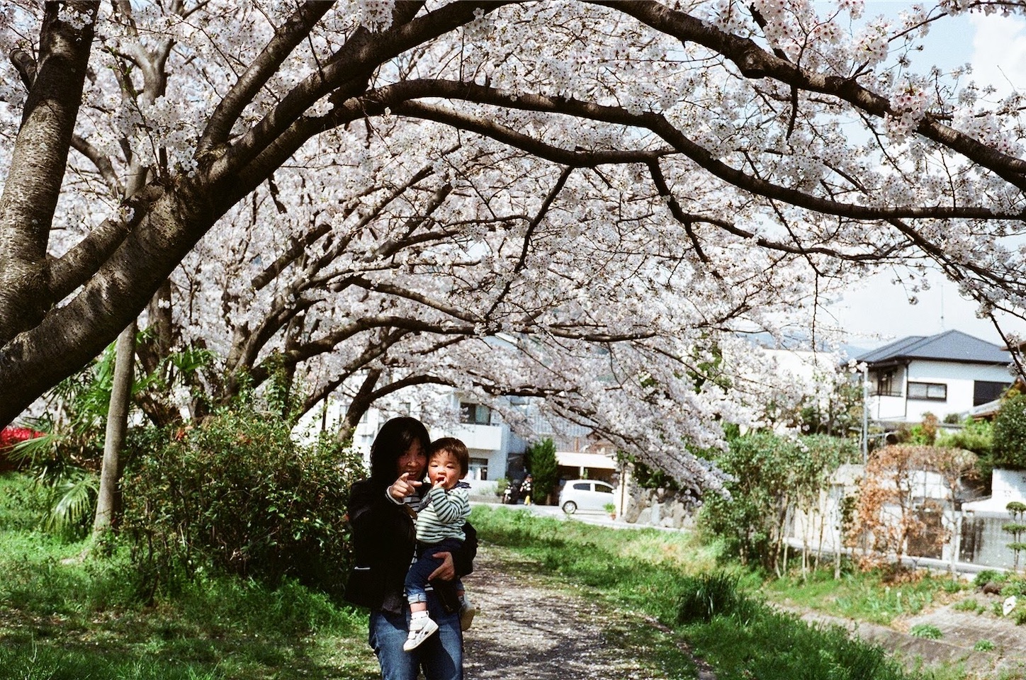 f:id:pepepetoki:20200417214246j:image