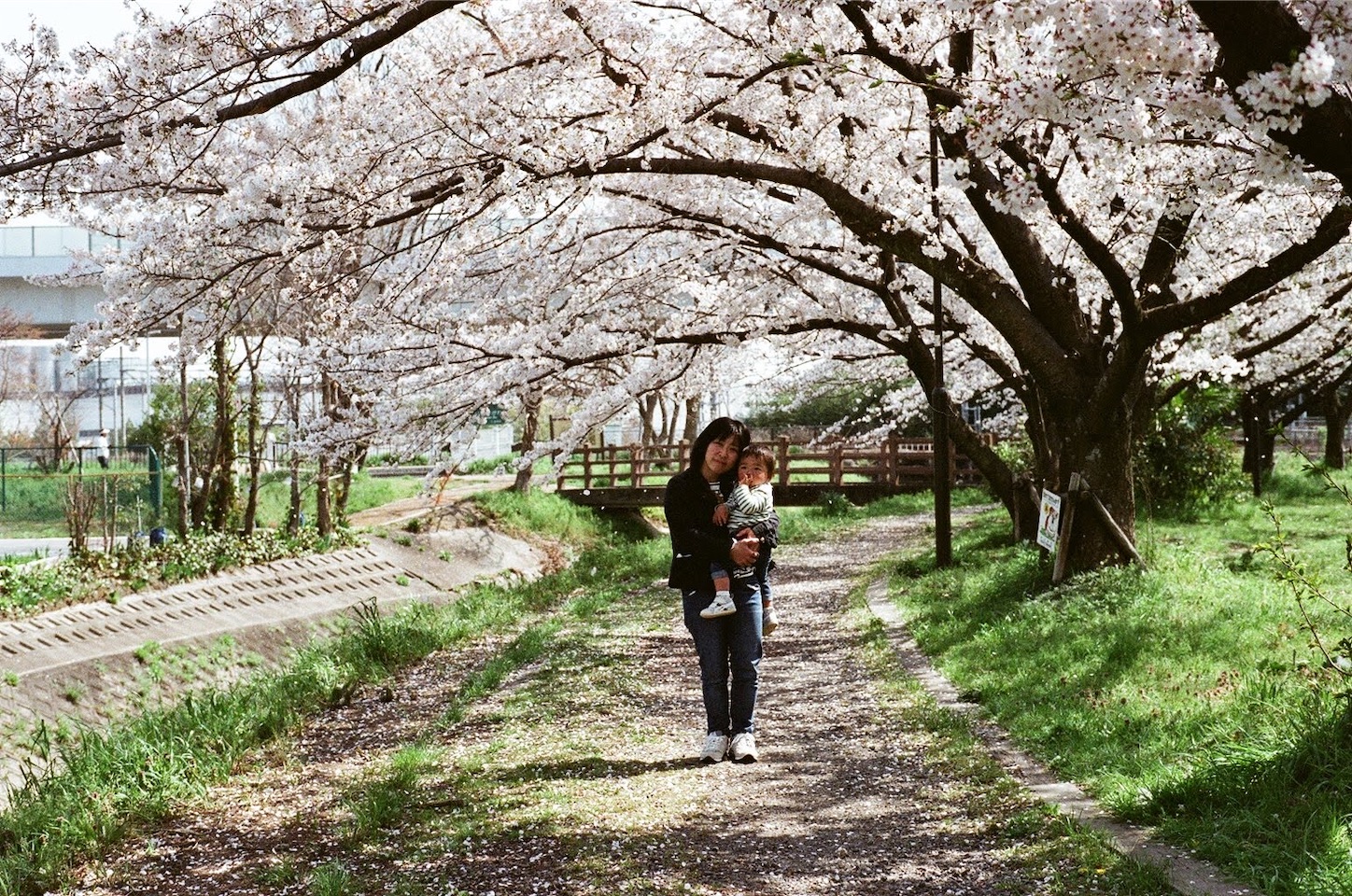 f:id:pepepetoki:20200417214250j:image