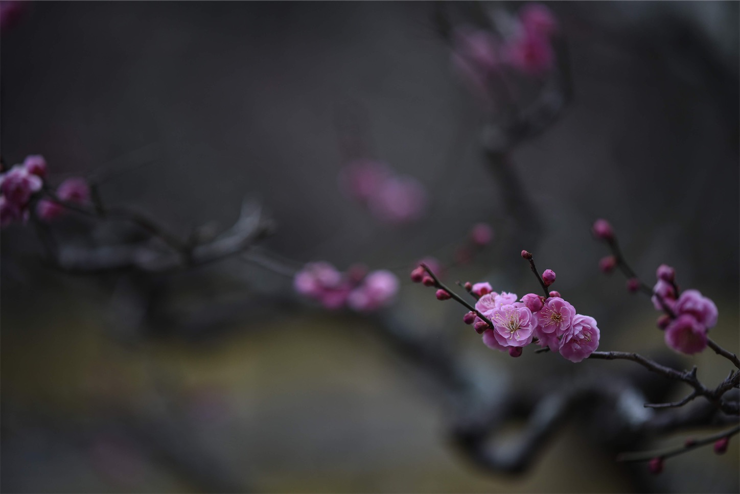 f:id:pepepetoki:20200506152450j:image