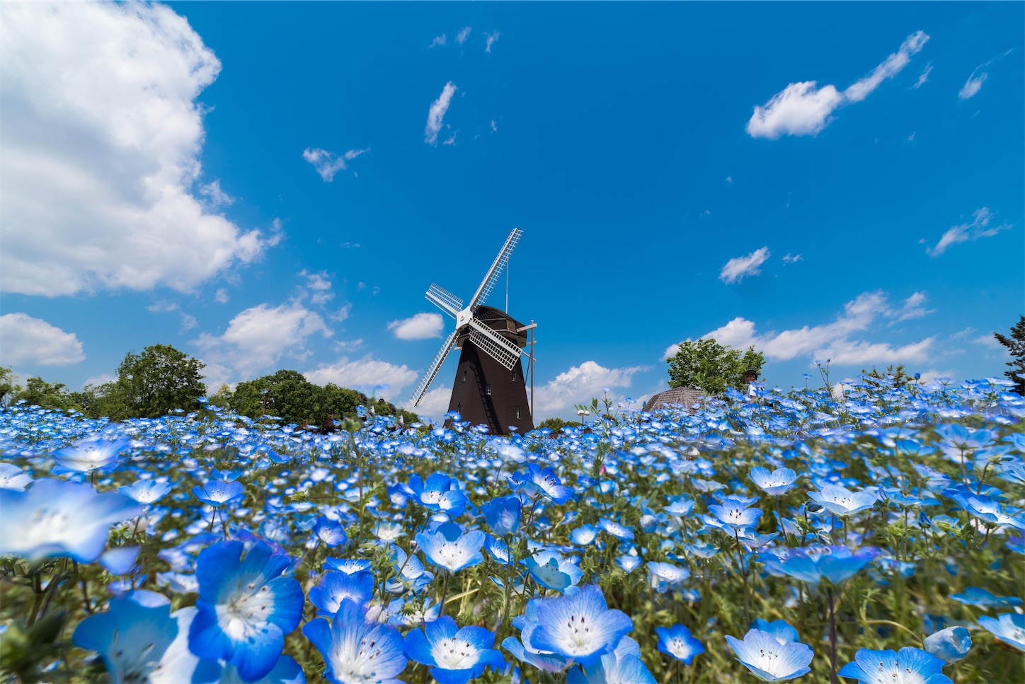 f:id:pepepetoki:20200506231122j:image
