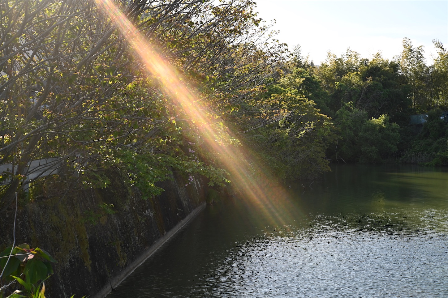 f:id:pepepetoki:20200510163240j:image