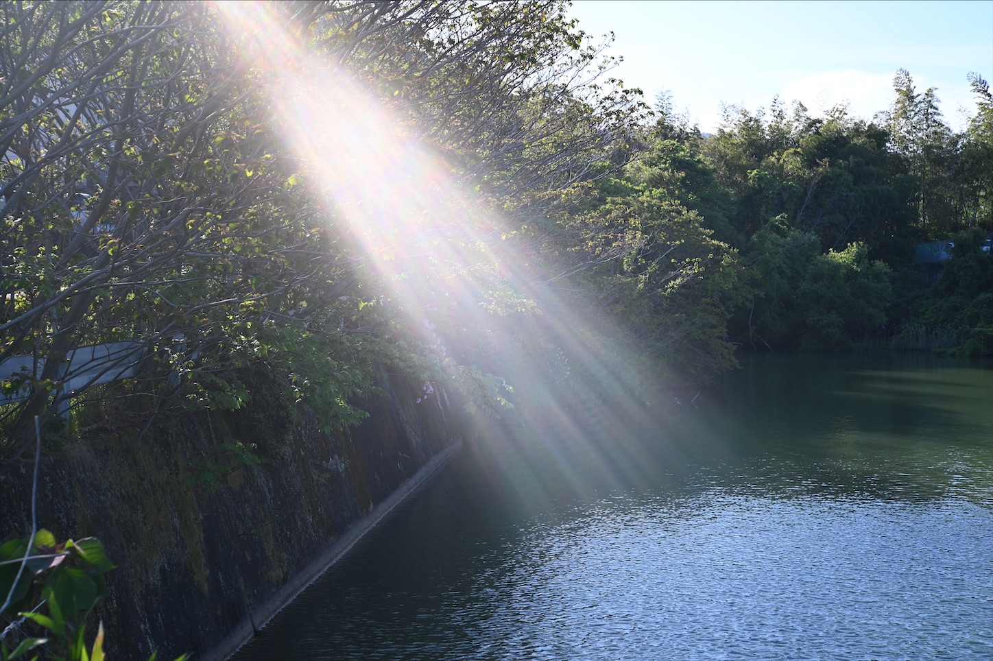 f:id:pepepetoki:20200510163254j:image