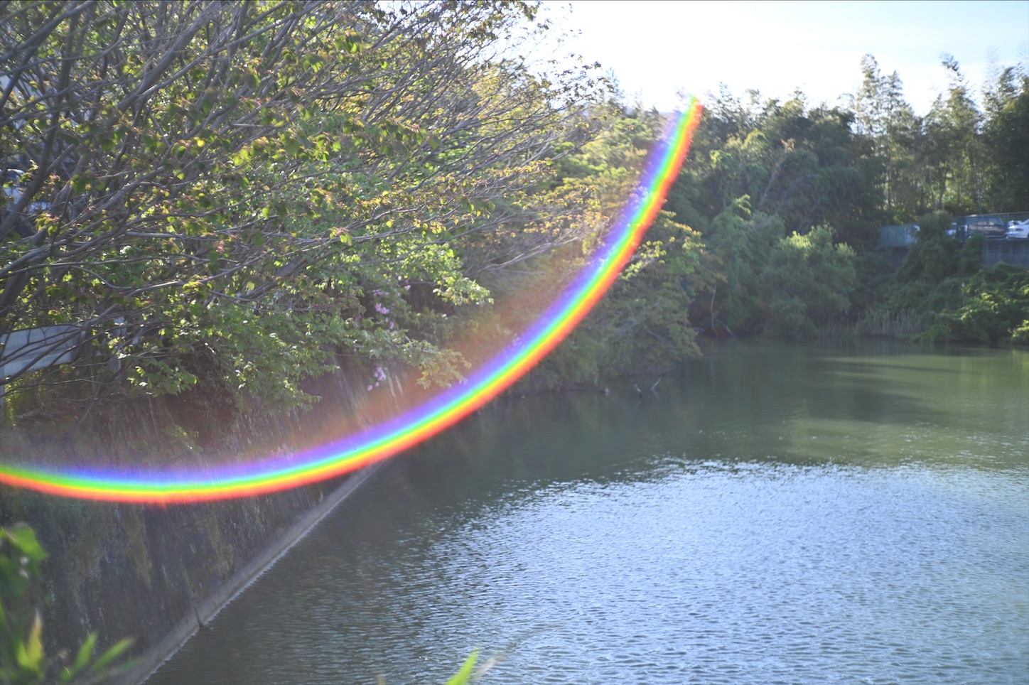 f:id:pepepetoki:20200510163326j:image