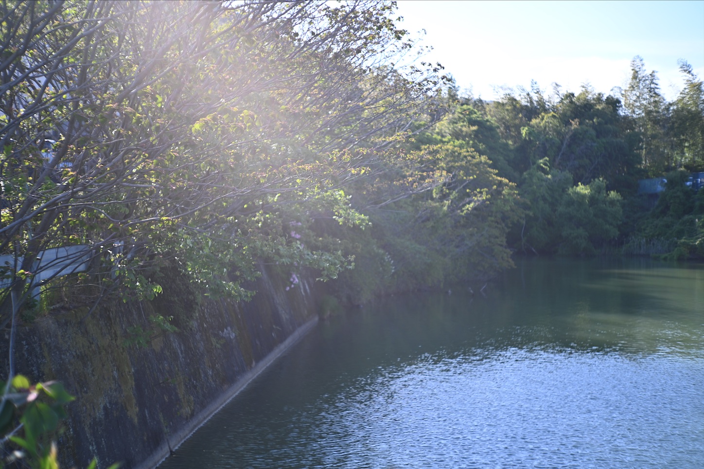 f:id:pepepetoki:20200510163330j:image