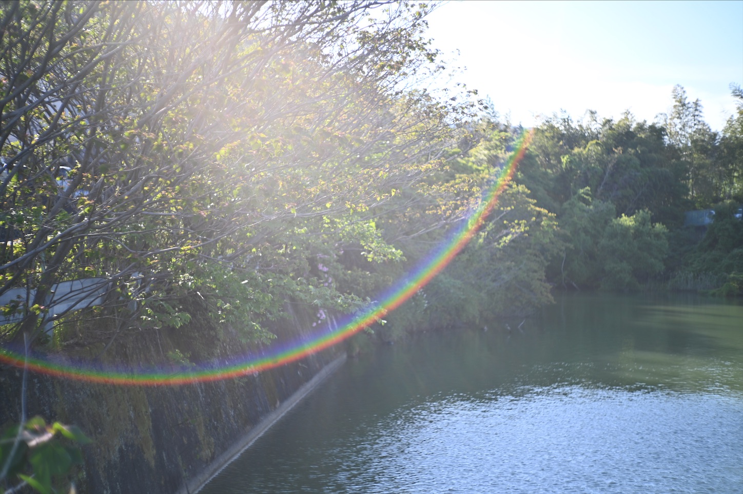 f:id:pepepetoki:20200510163352j:image