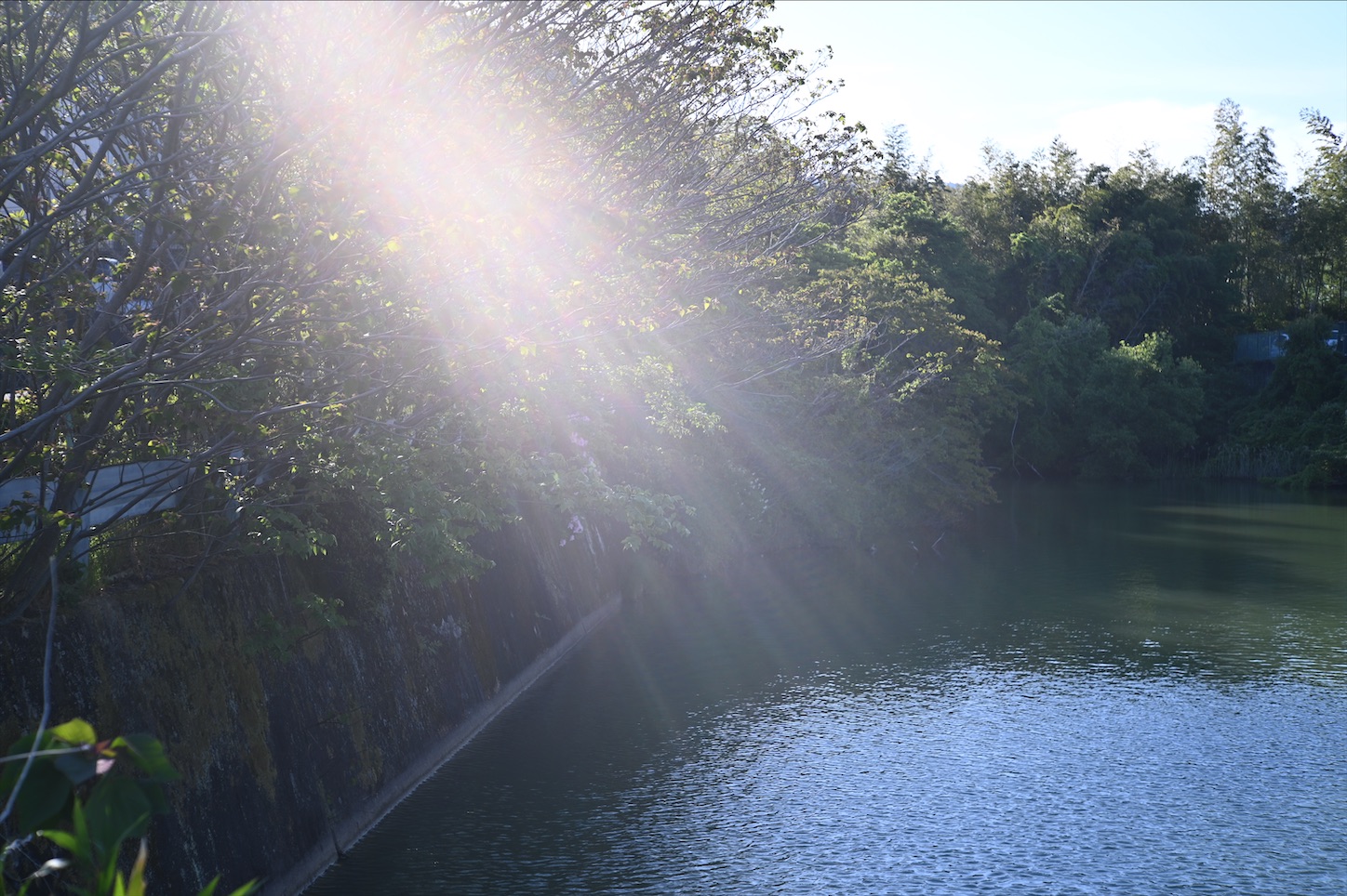 f:id:pepepetoki:20200510163408j:image