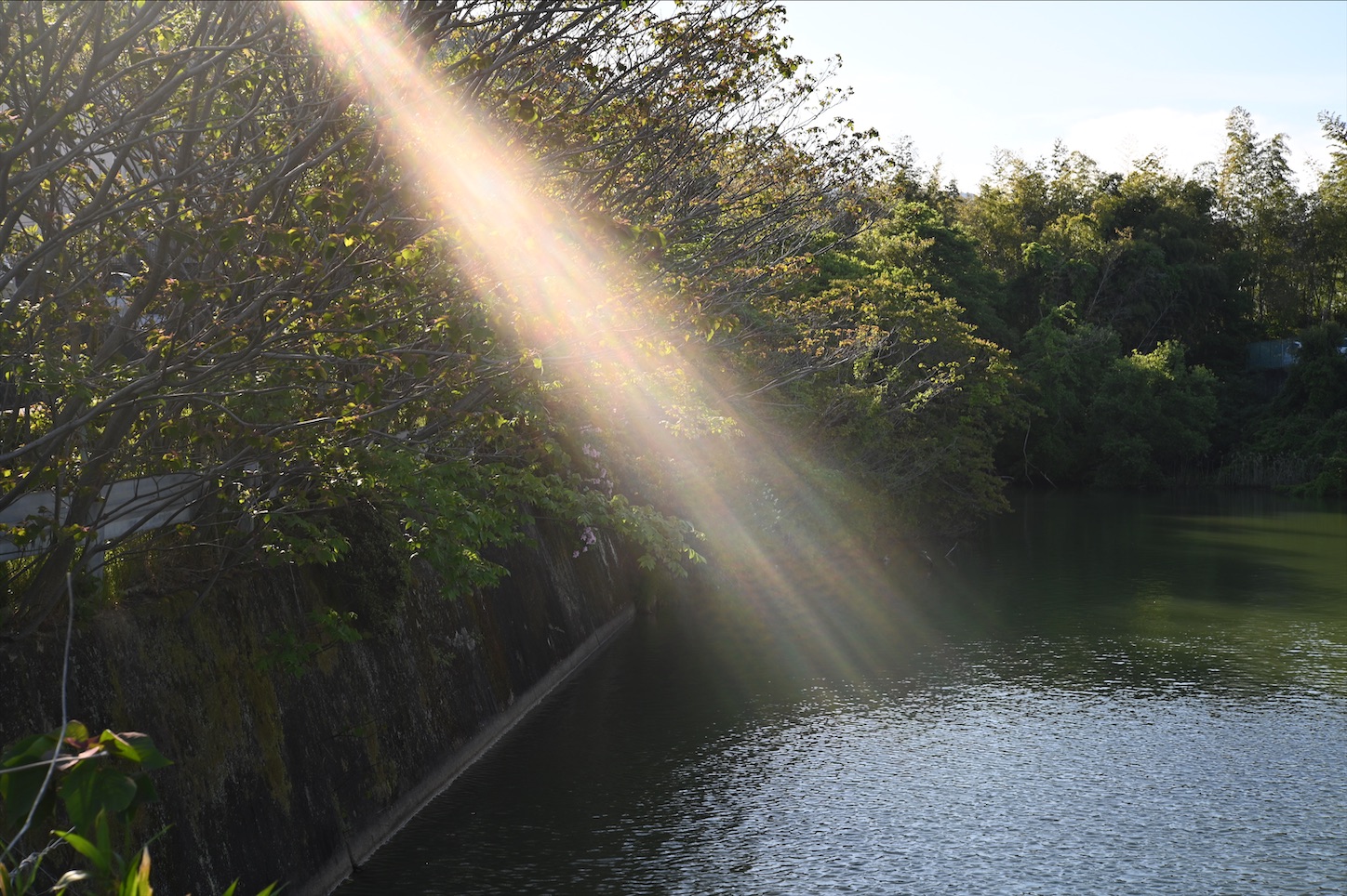 f:id:pepepetoki:20200510163434j:image