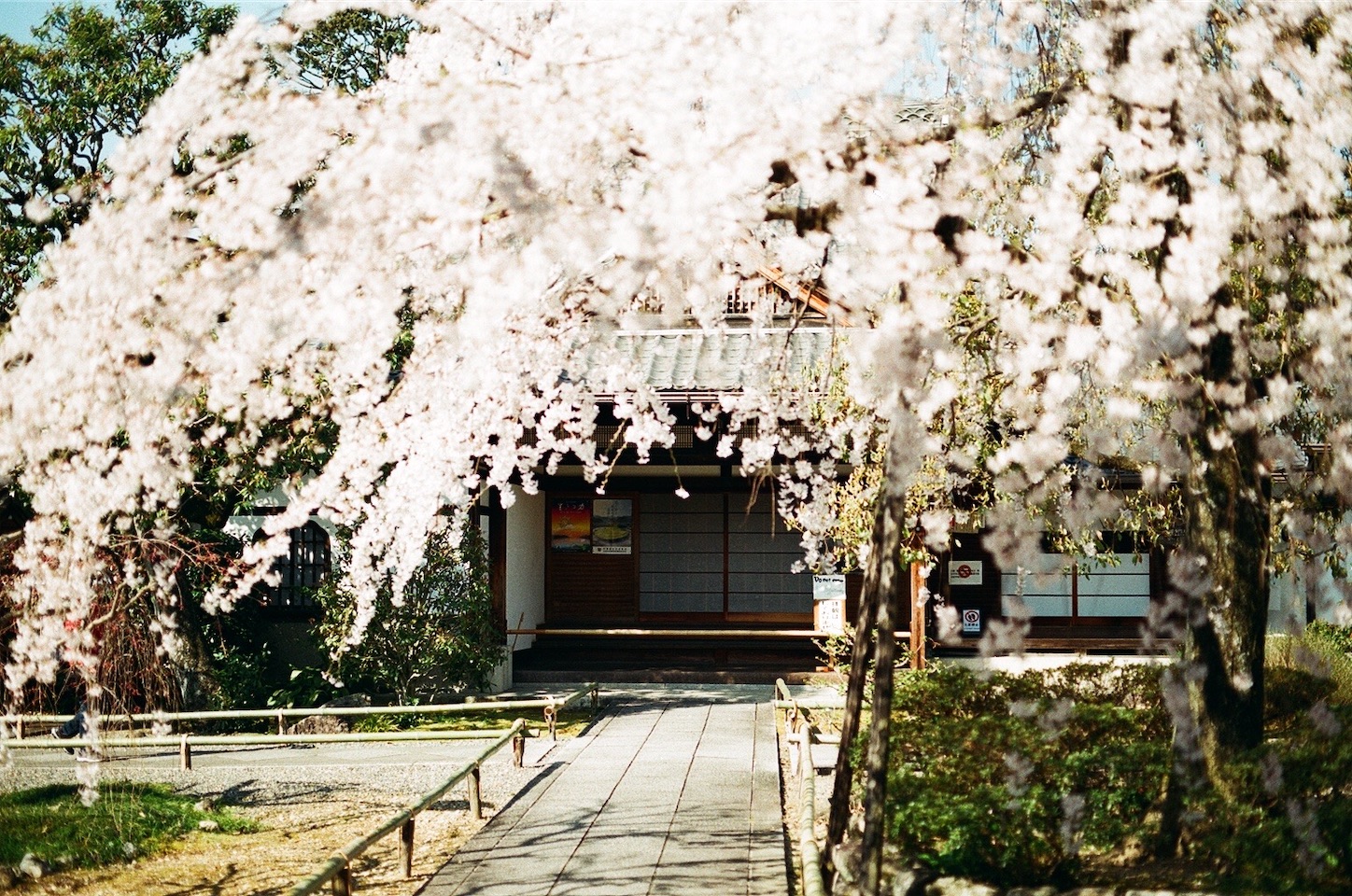 f:id:pepepetoki:20200514175419j:image
