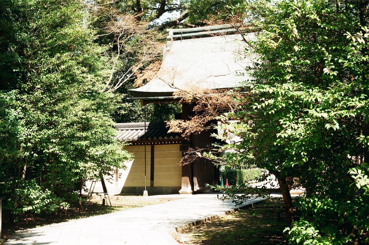 f:id:pepepetoki:20200514175436j:image