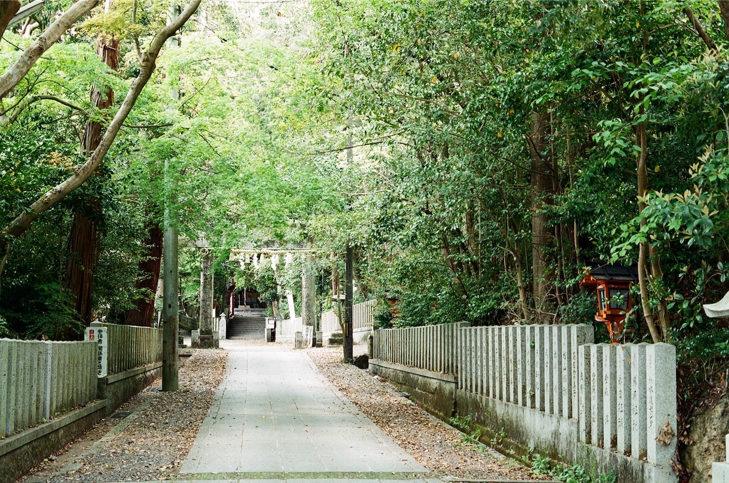 f:id:pepepetoki:20200514175452j:image