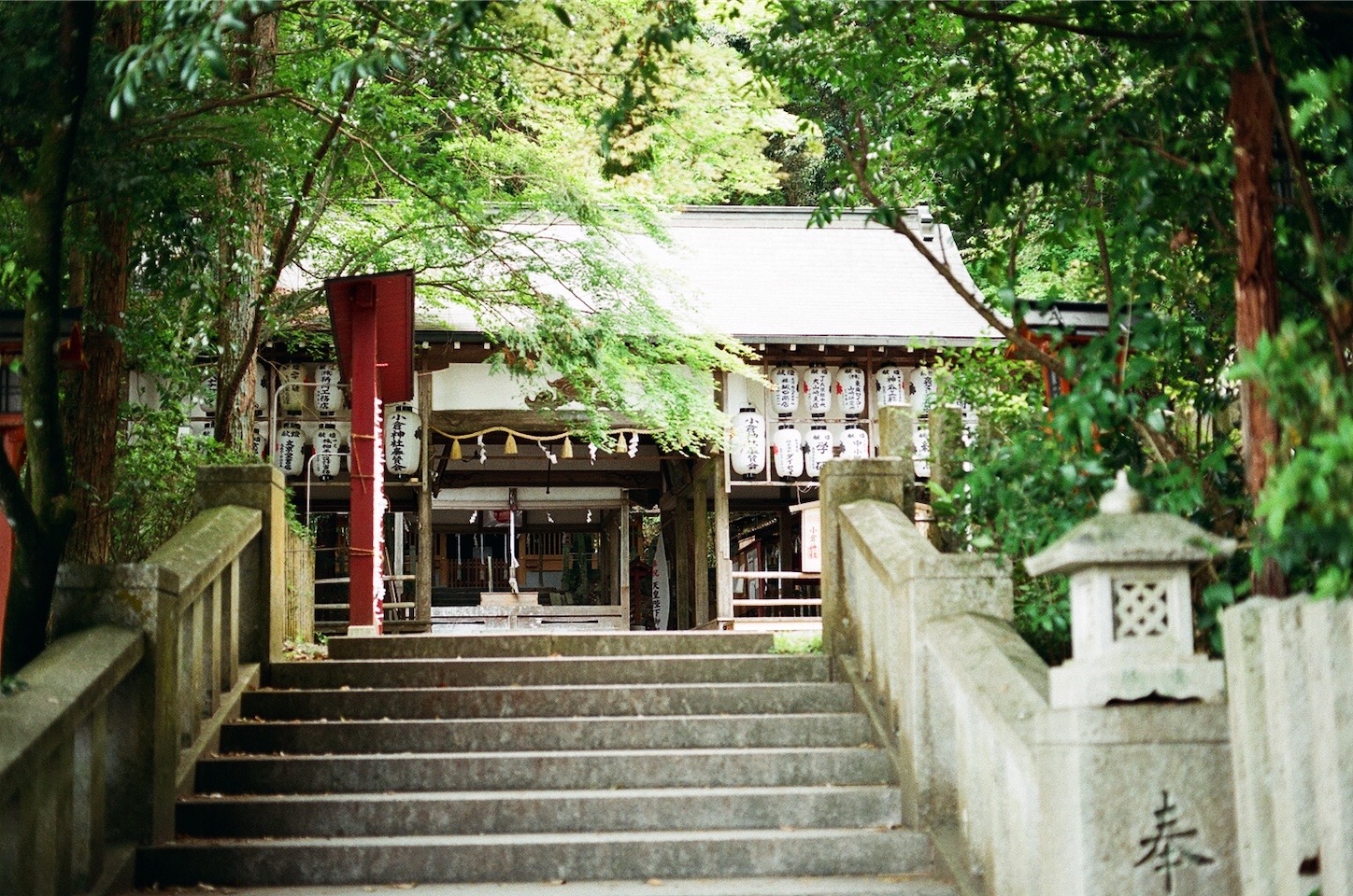 f:id:pepepetoki:20200514175522j:image