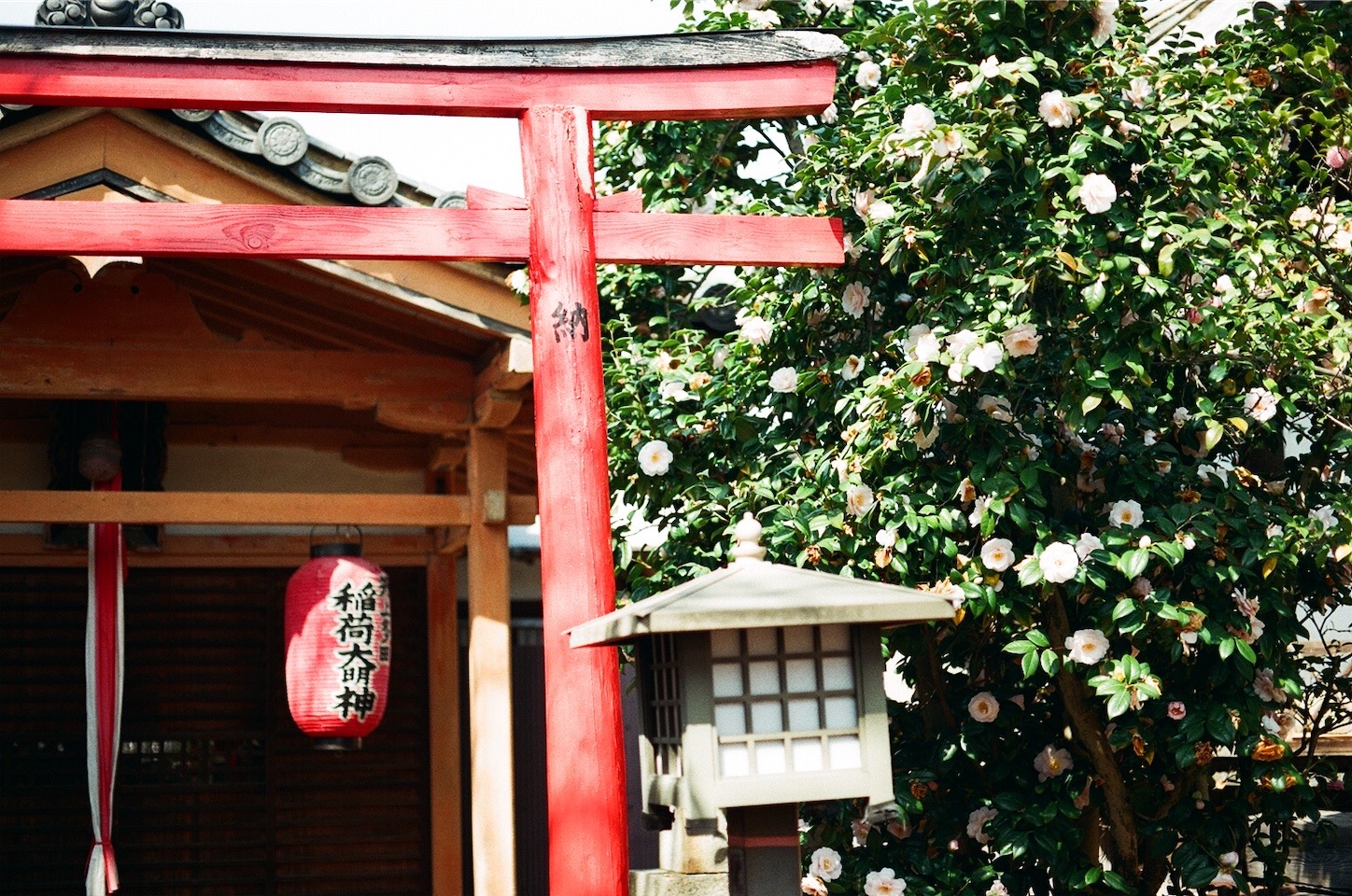 f:id:pepepetoki:20200514175528j:image