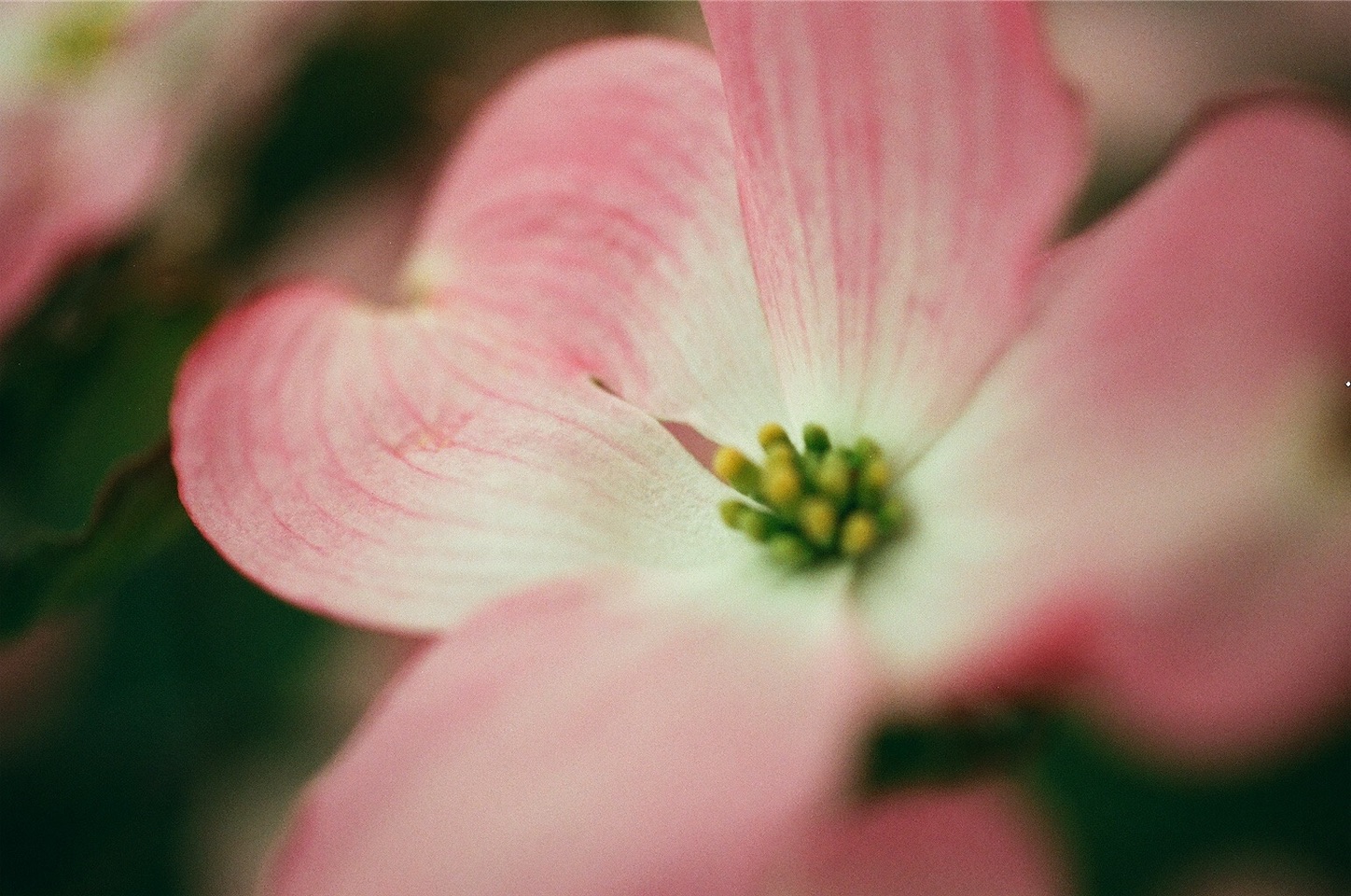 f:id:pepepetoki:20200514175544j:image