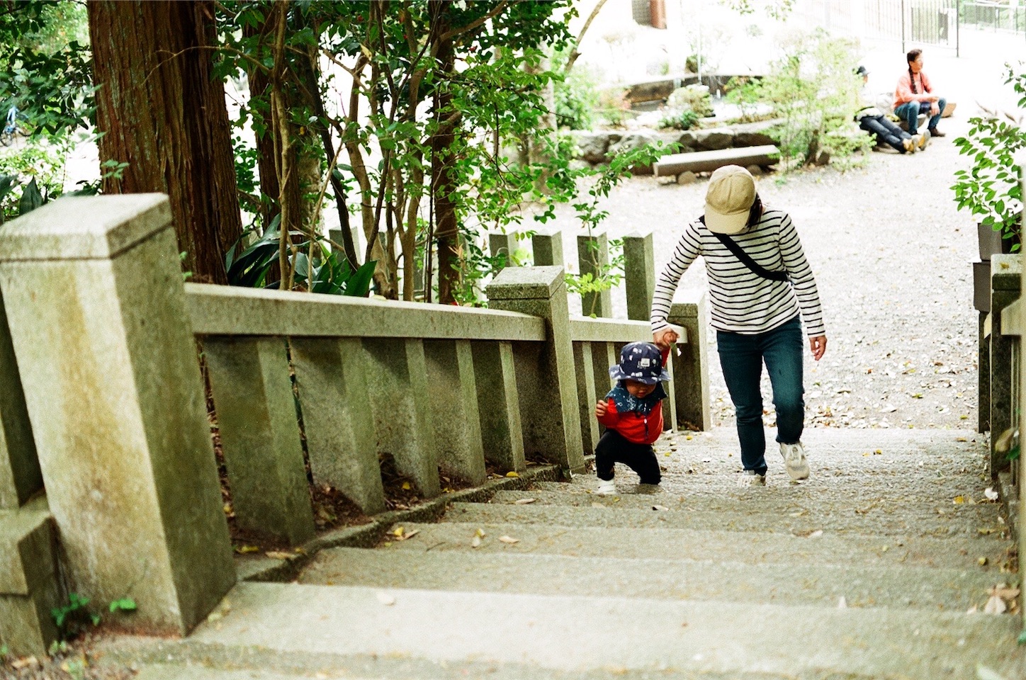 f:id:pepepetoki:20200514175551j:image