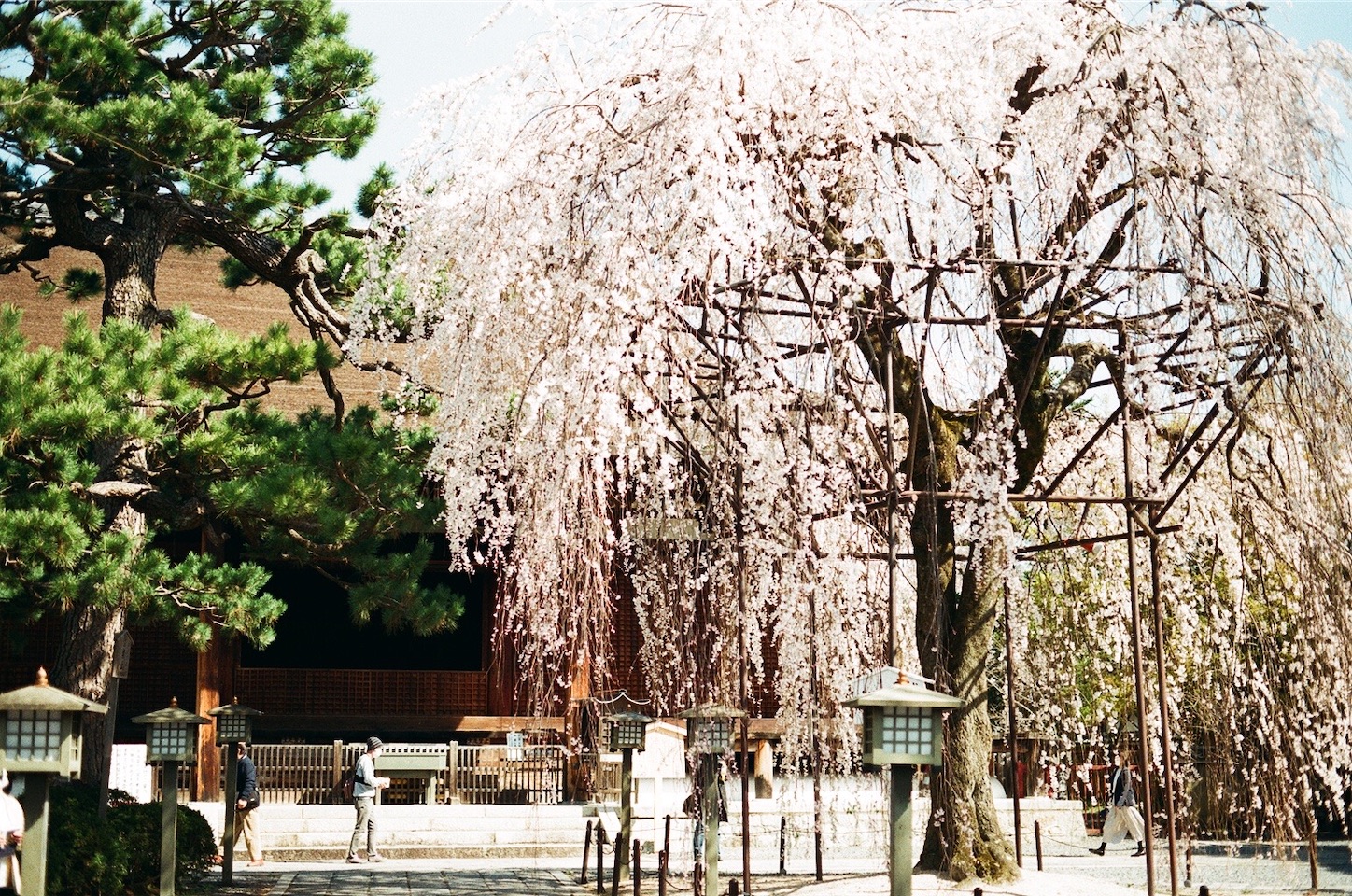 f:id:pepepetoki:20200514175626j:image