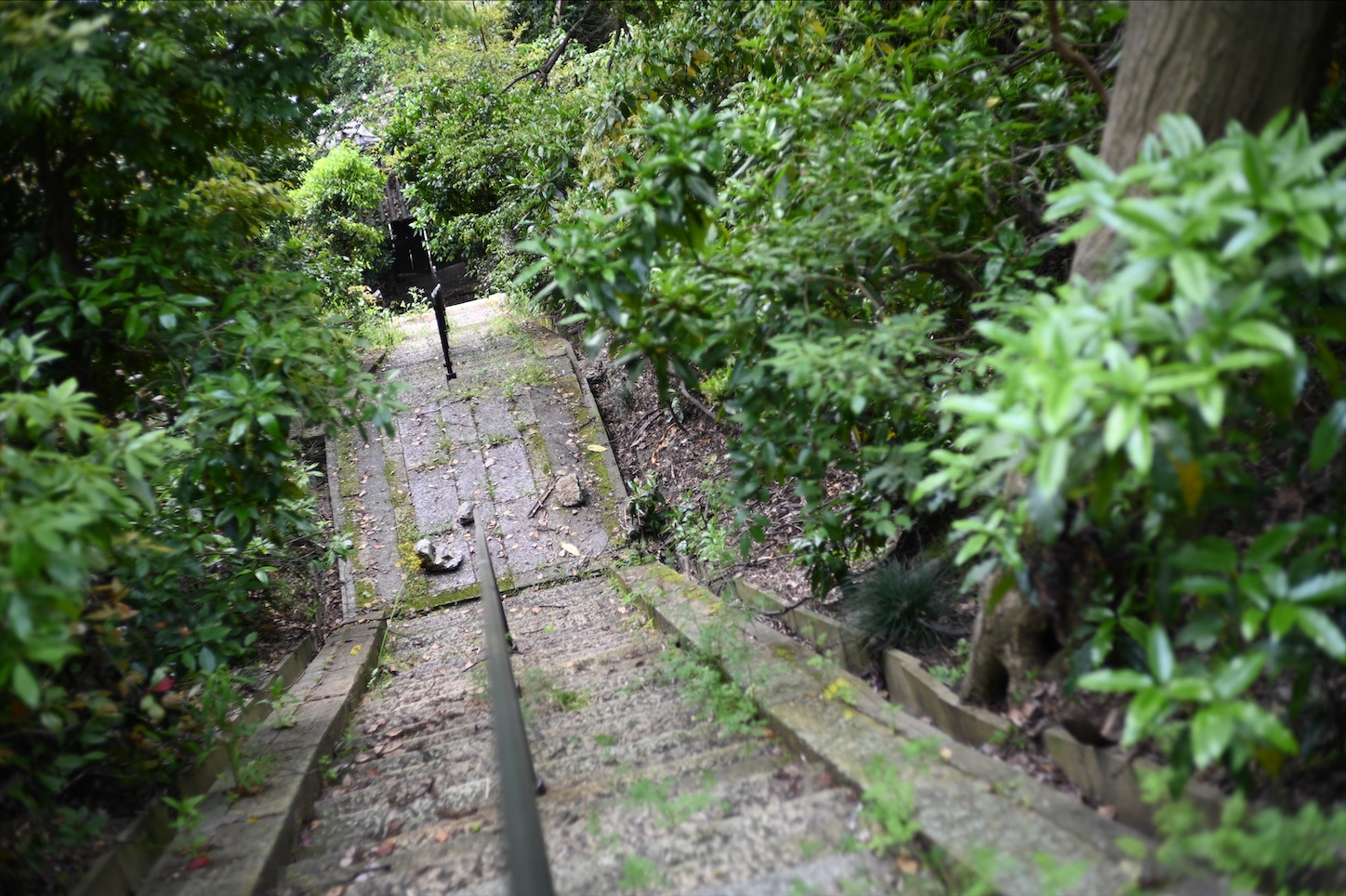 f:id:pepepetoki:20200524112056j:image