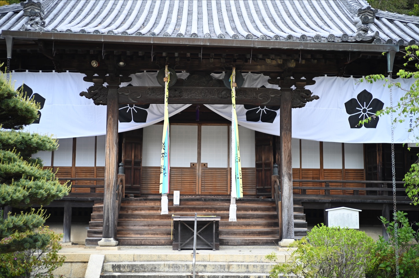f:id:pepepetoki:20200524112120j:image