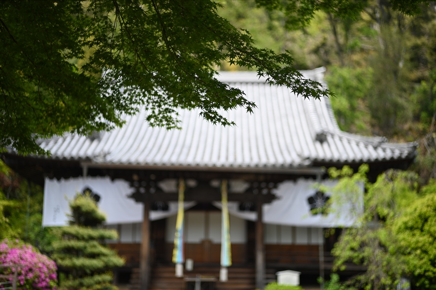 f:id:pepepetoki:20200524112132j:image