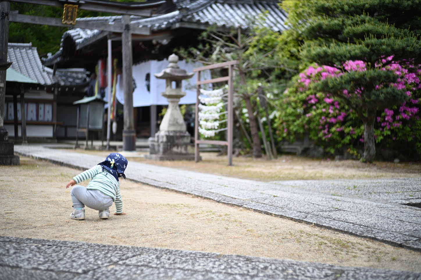 f:id:pepepetoki:20200524112137j:image