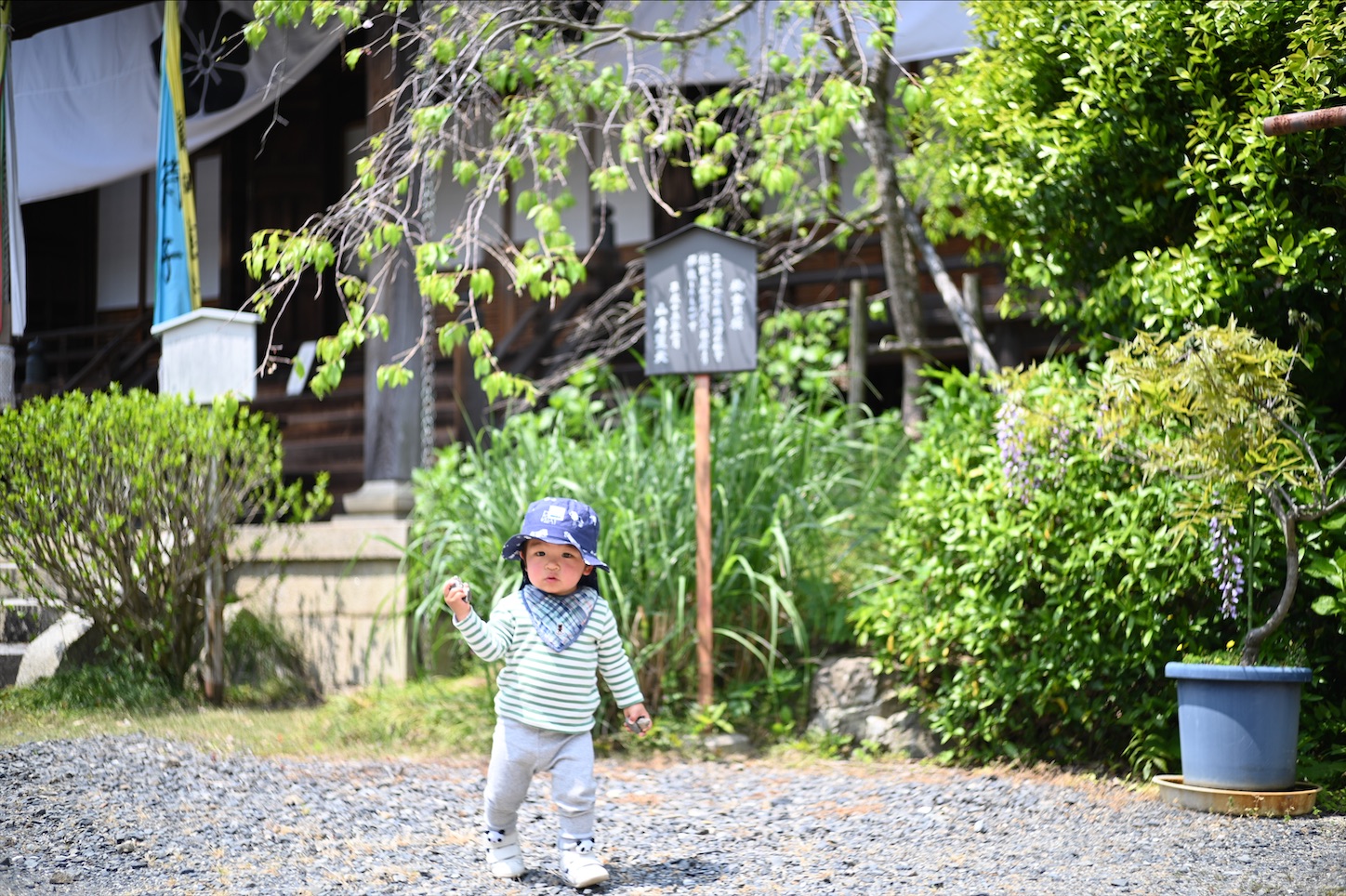 f:id:pepepetoki:20200524112145j:image