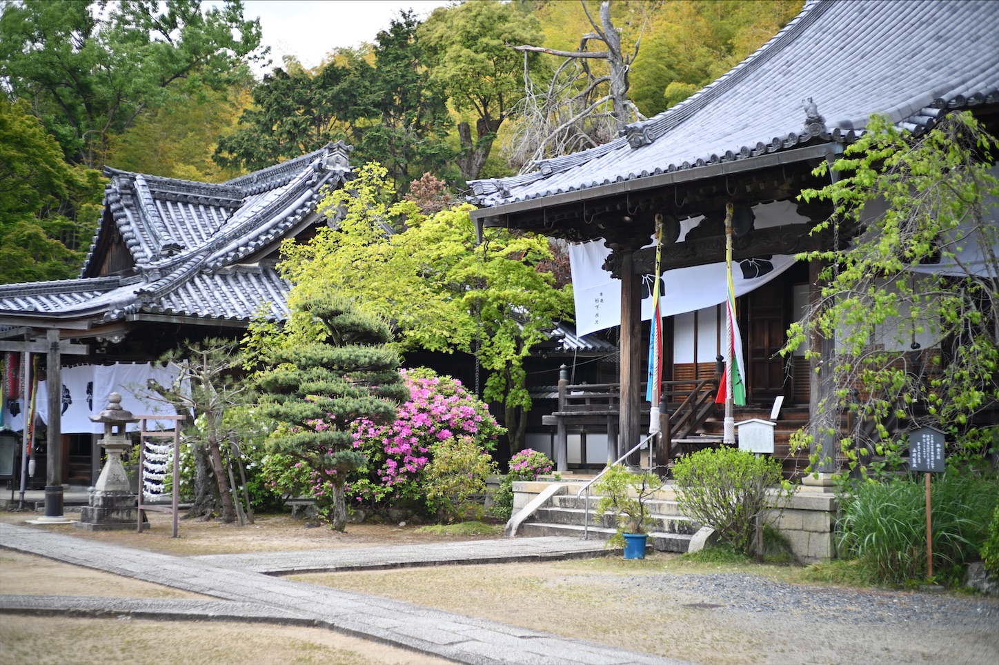 f:id:pepepetoki:20200524112153j:image