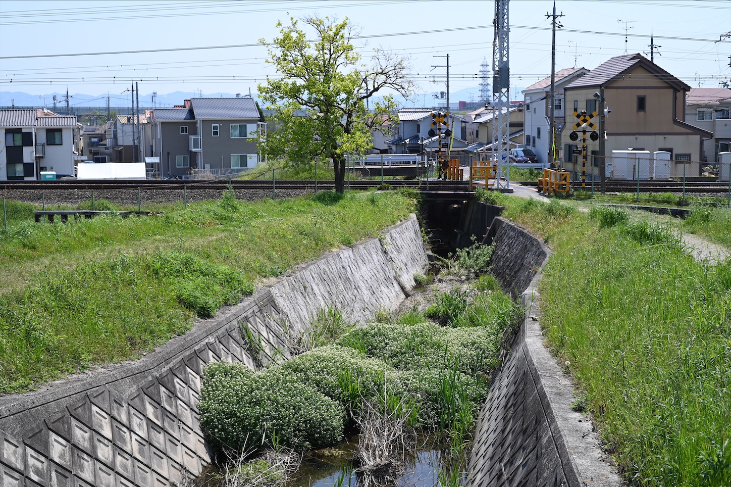 f:id:pepepetoki:20200524113000j:image