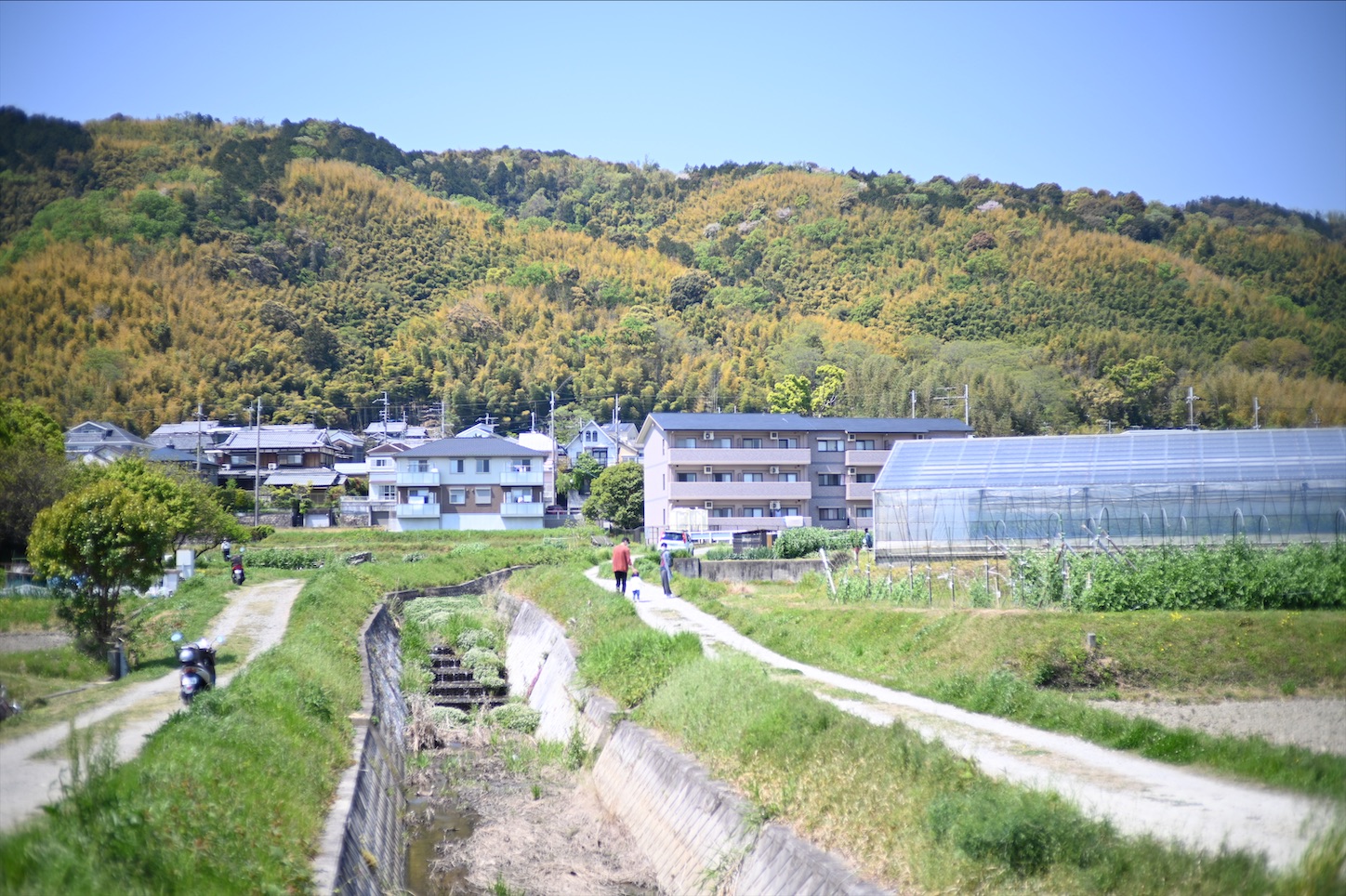 f:id:pepepetoki:20200524113043j:image