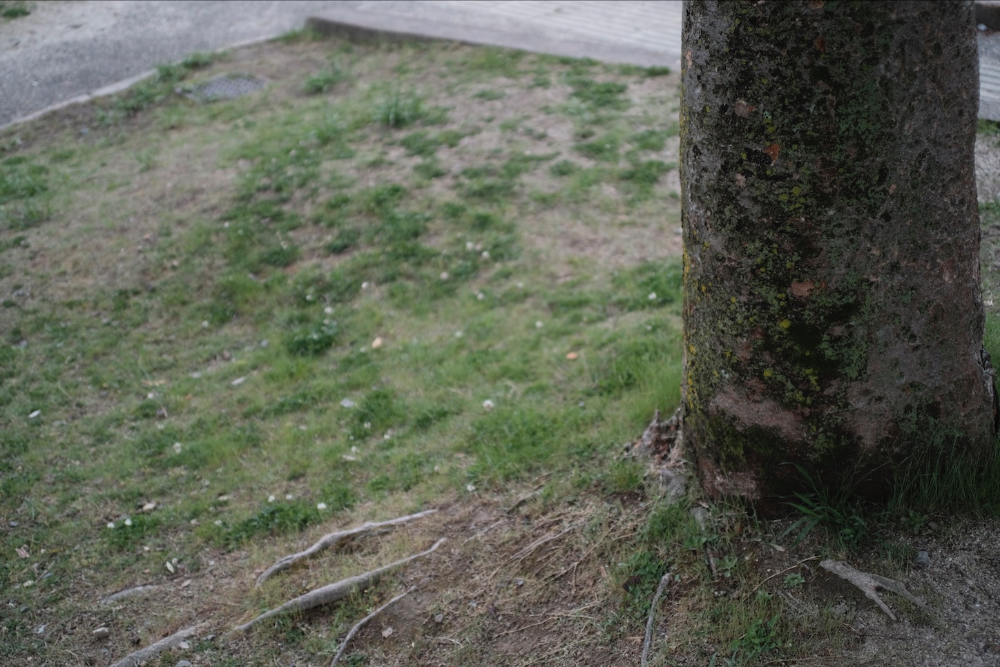 f:id:pepepetoki:20200531215955j:image f:id:pepepetoki:20200531215955j:image