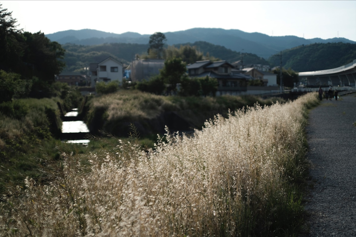 f:id:pepepetoki:20200531220013j:image f:id:pepepetoki:20200531220013j:image